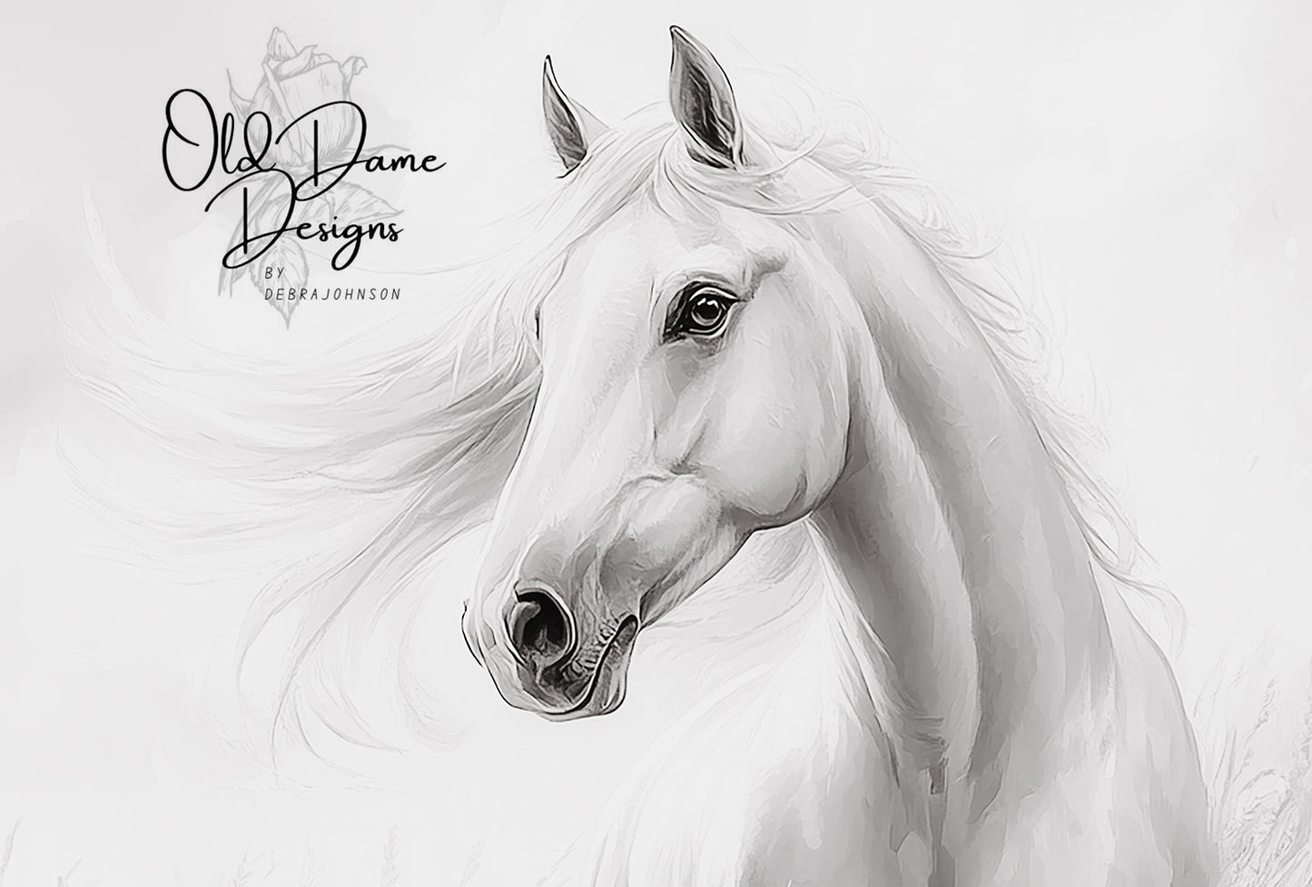 B&W Horse Portrait