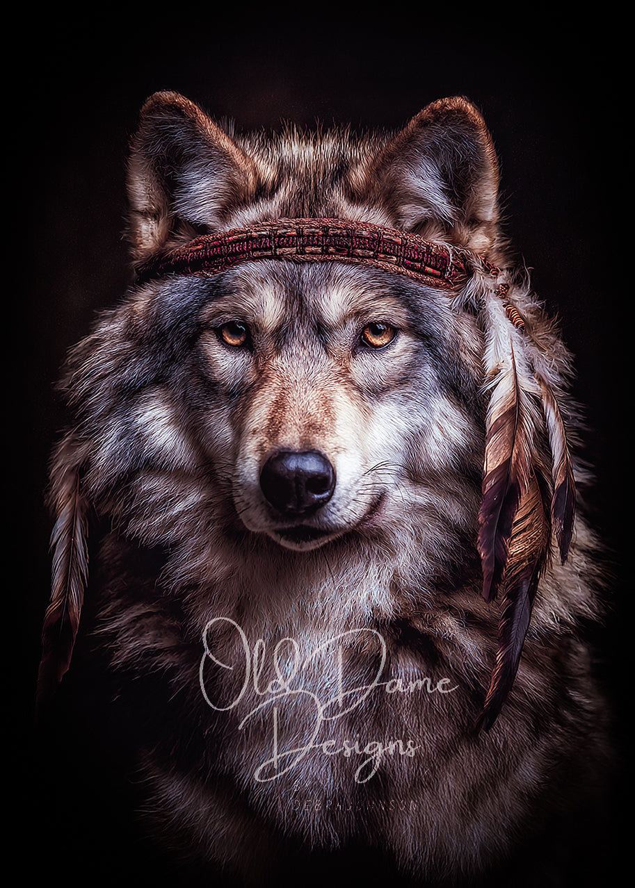 Beautiful & Wild