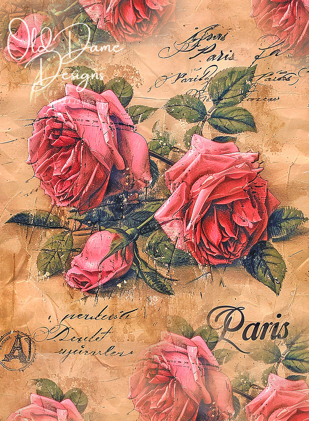 Paris Roses
