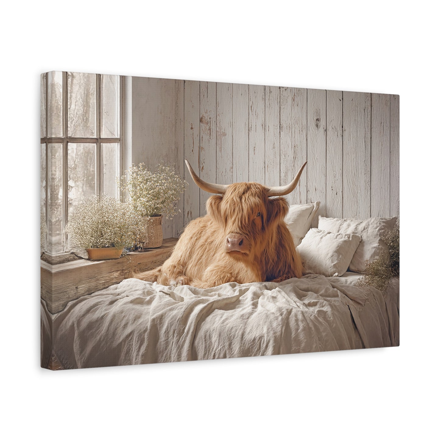 Highland Cow on Cozy Bed Canvas | Matte Stretched Wall Art