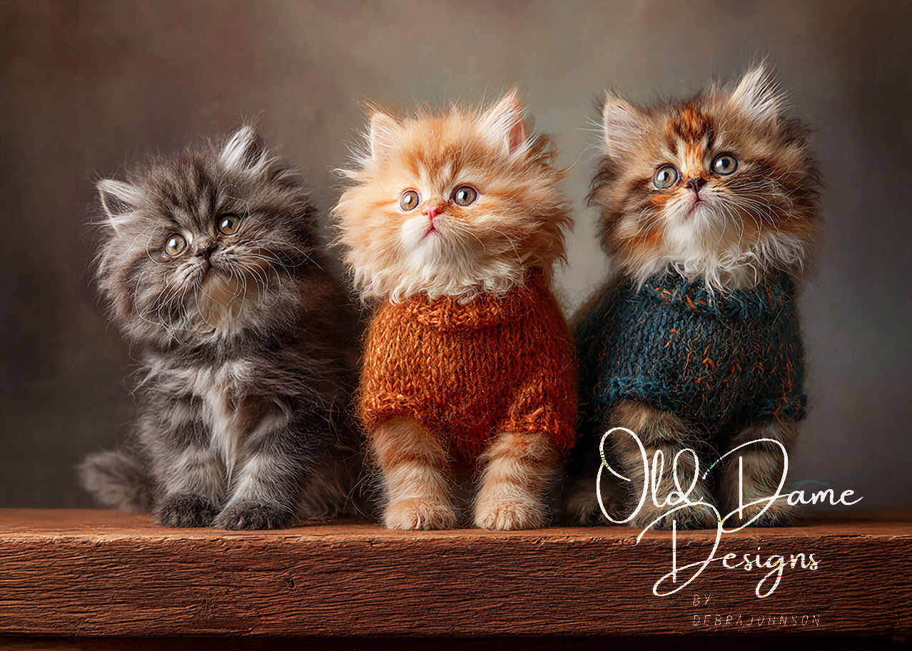 3 Fluffy Kittens 1a