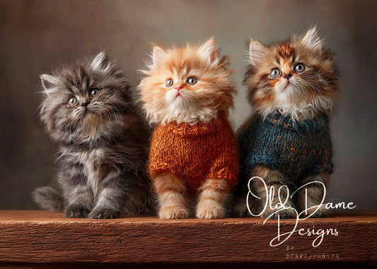 3 Fluffy Kittens 1a