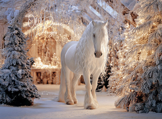 A Christmas Horse