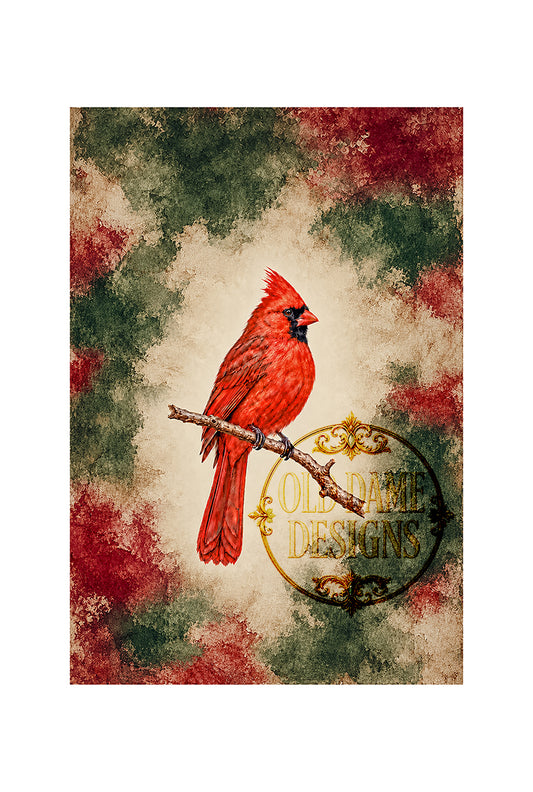 A Winter Cardinal (ISN)