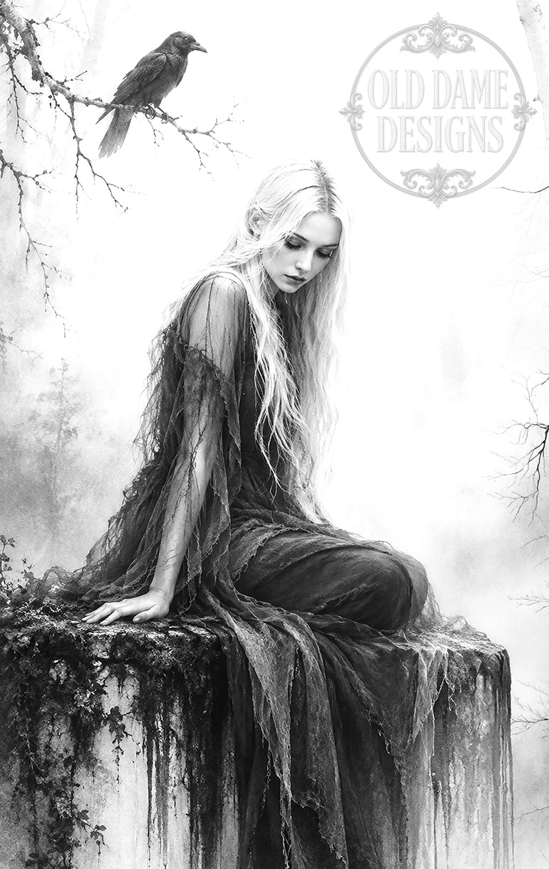 A Gathering of Silence (ISN)