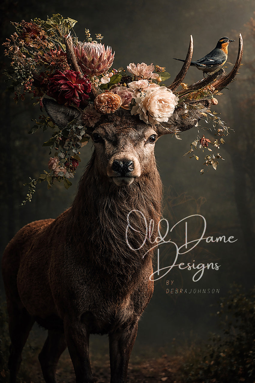Woodland Crown (dd)