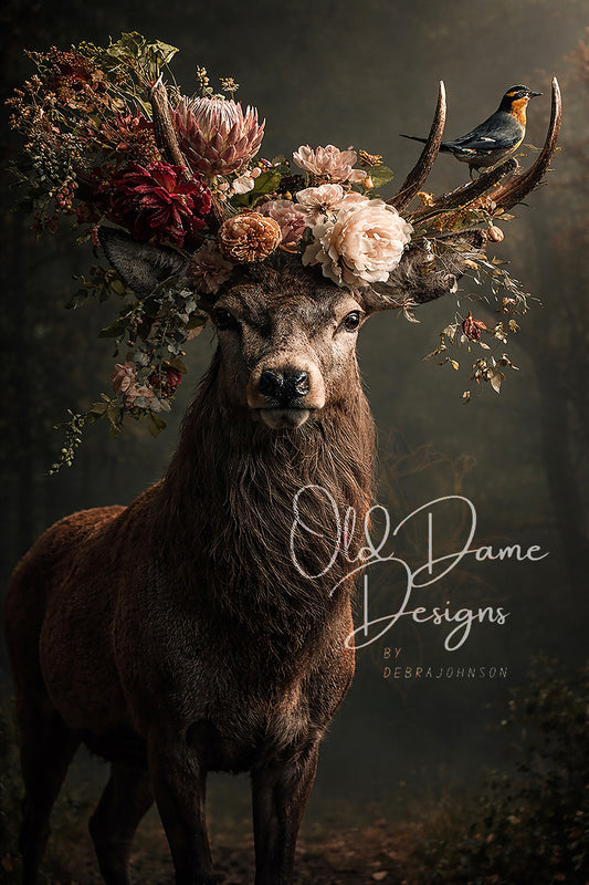 Woodland Crown (dd)