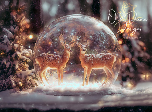 Enchanted Winter Globe