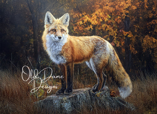 Fall Fox