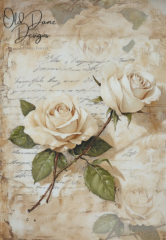 French Roses 001