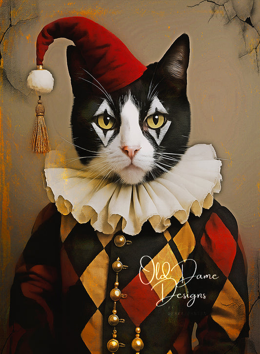 Harlequin Cat