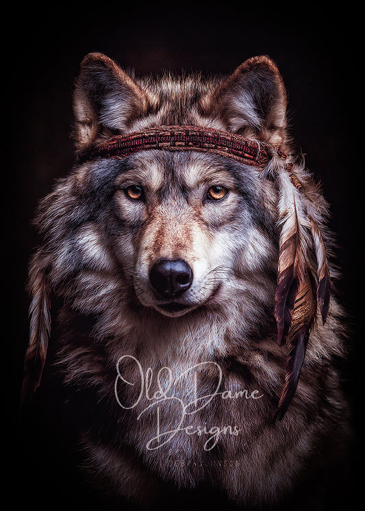 Beautiful & Wild