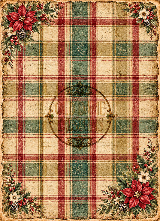 PLAID #3