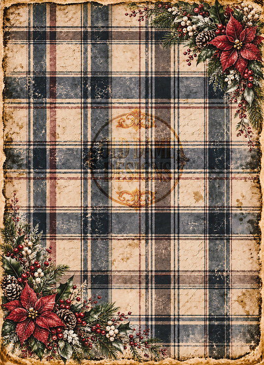 PLAID #4