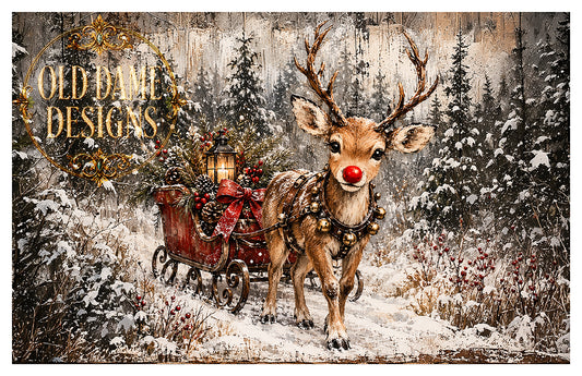 Rudolph’s Lantern-Lit Journey (ISN)