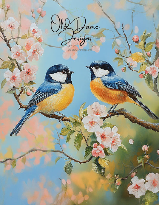 Spring Birds