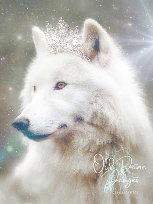Snow Queen of the Wild